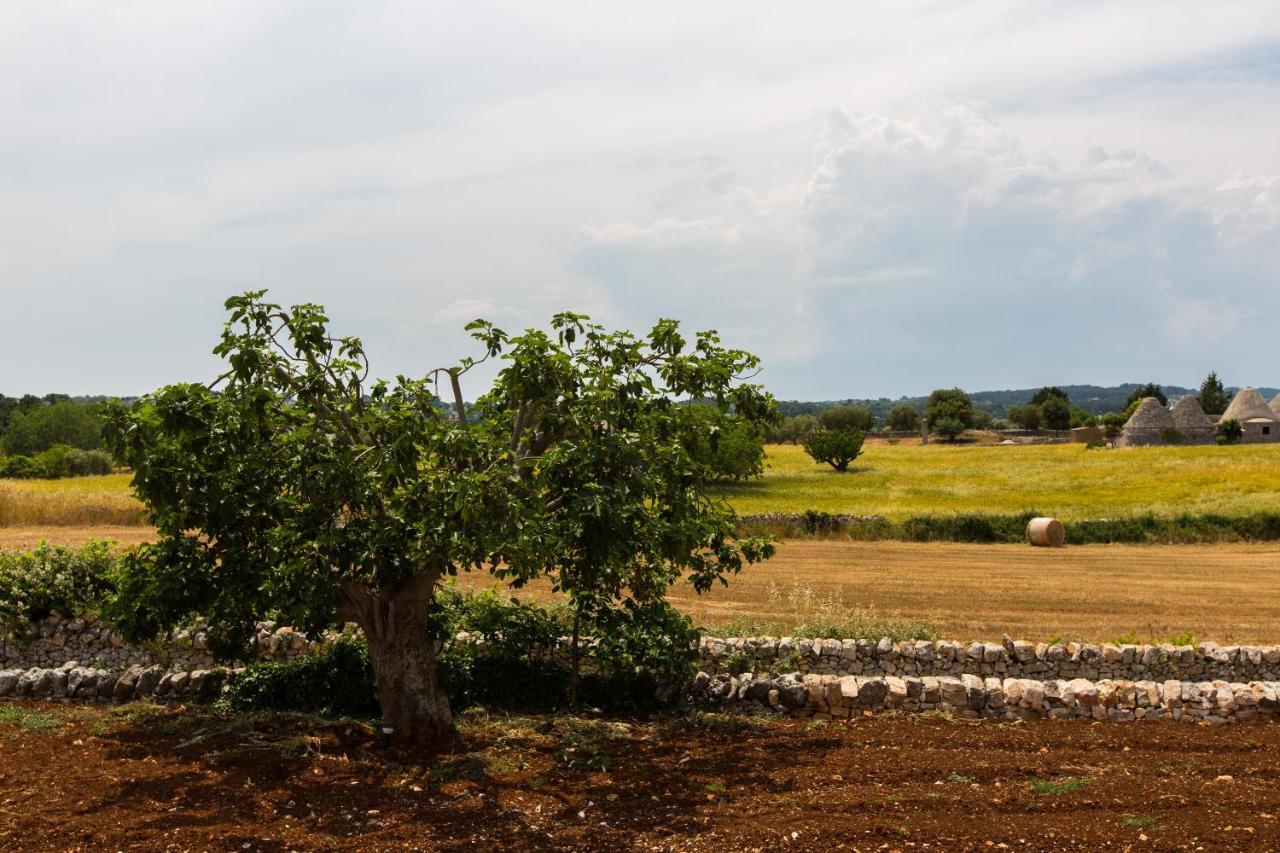 Trulli Gianpaolo - Luxury Villa Ostuni Bagian luar foto
